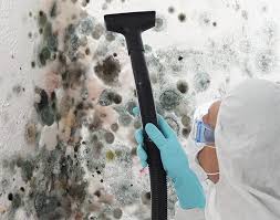 Best Mold Odor Removal Services in Lyman, SC